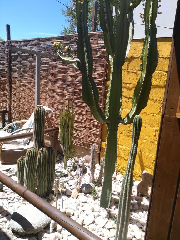 Hostal Cactus Copiapó מראה חיצוני תמונה