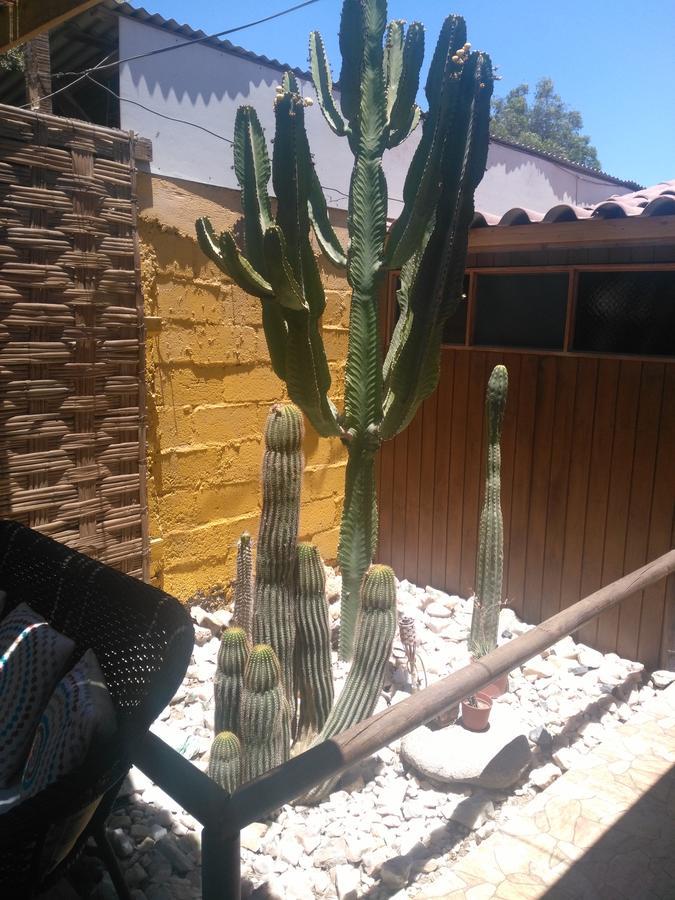 Hostal Cactus Copiapó מראה חיצוני תמונה